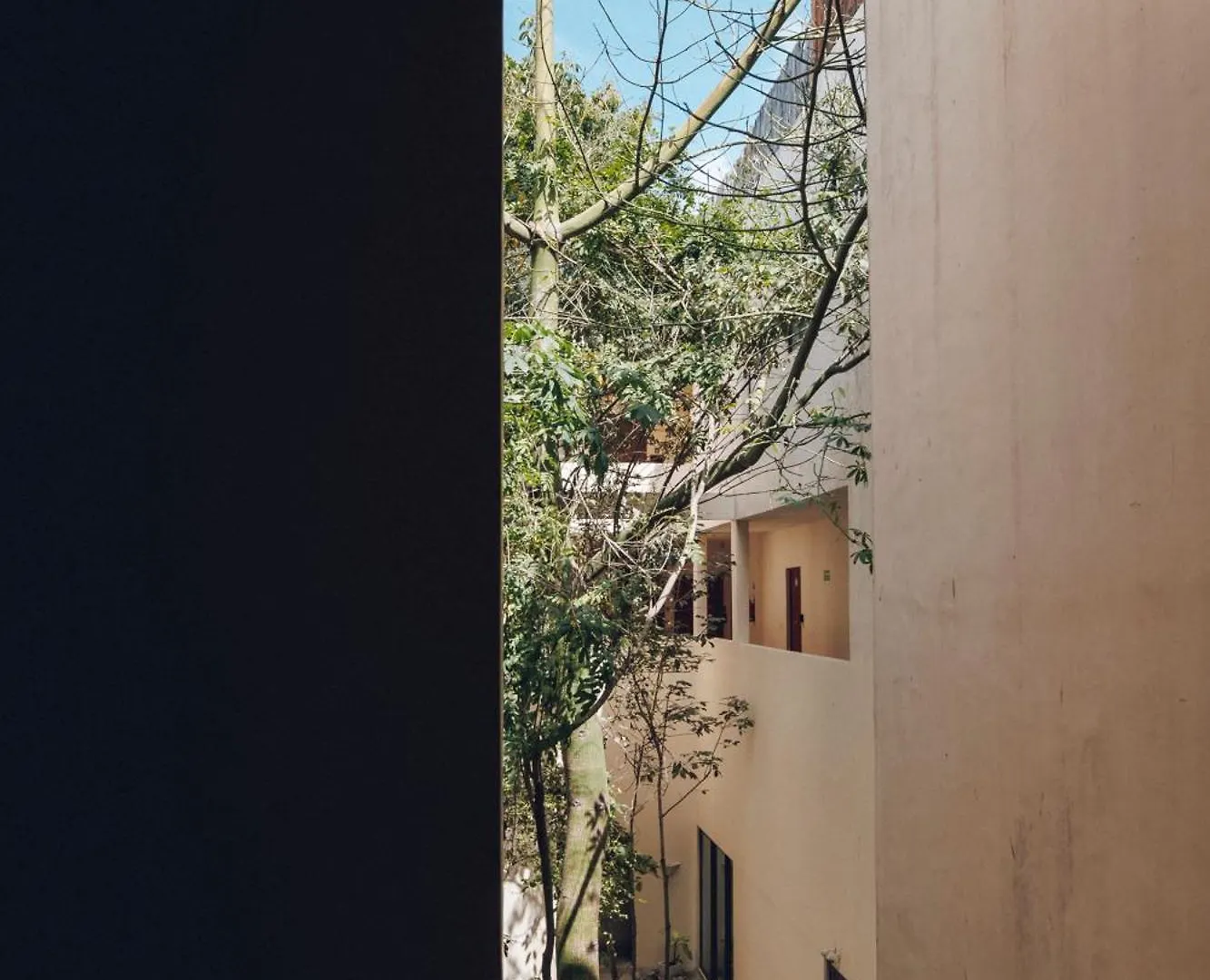 2 Bikes Free Exlusive Building Close To The Sea トゥルム 別荘