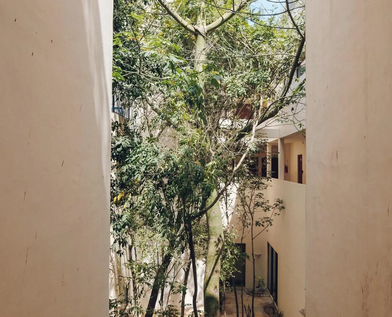 2 Bikes Free Exlusive Building Close To The Sea トゥルム 0*,  メキシコ