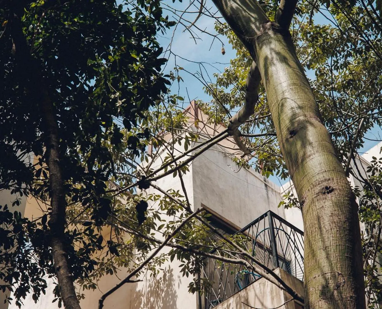 別荘 2 Bikes Free Exlusive Building Close To The Sea トゥルム メキシコ
