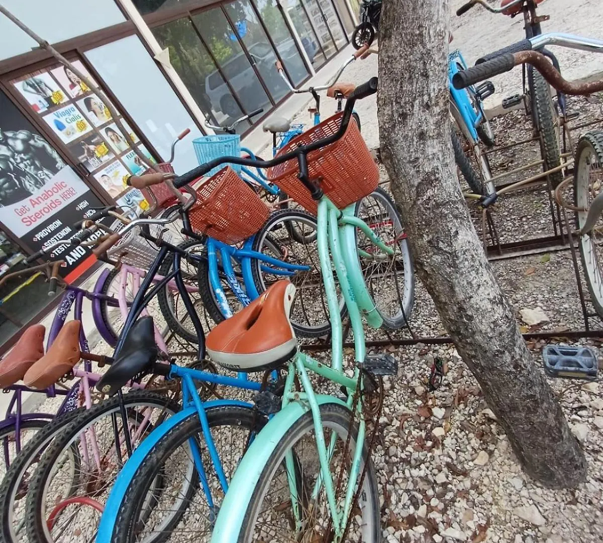 2 Bikes Free Exlusive Building Close To The Sea トゥルム 別荘